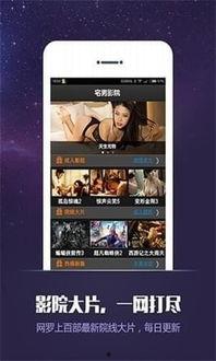 521人体影院,一场颠覆感官的视听盛宴